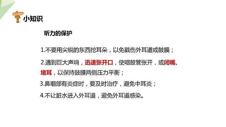 北师大版七年级生物下册课件 12.2 感受器和感觉器官 第2课时 课件第8页