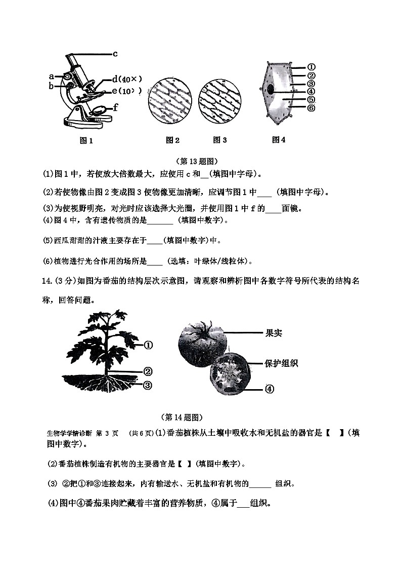 遼寧省沈陽(yáng)市大東區(qū)2023-2024學(xué)年七年級(jí)上學(xué)期期末生物試卷(1)第3頁(yè)