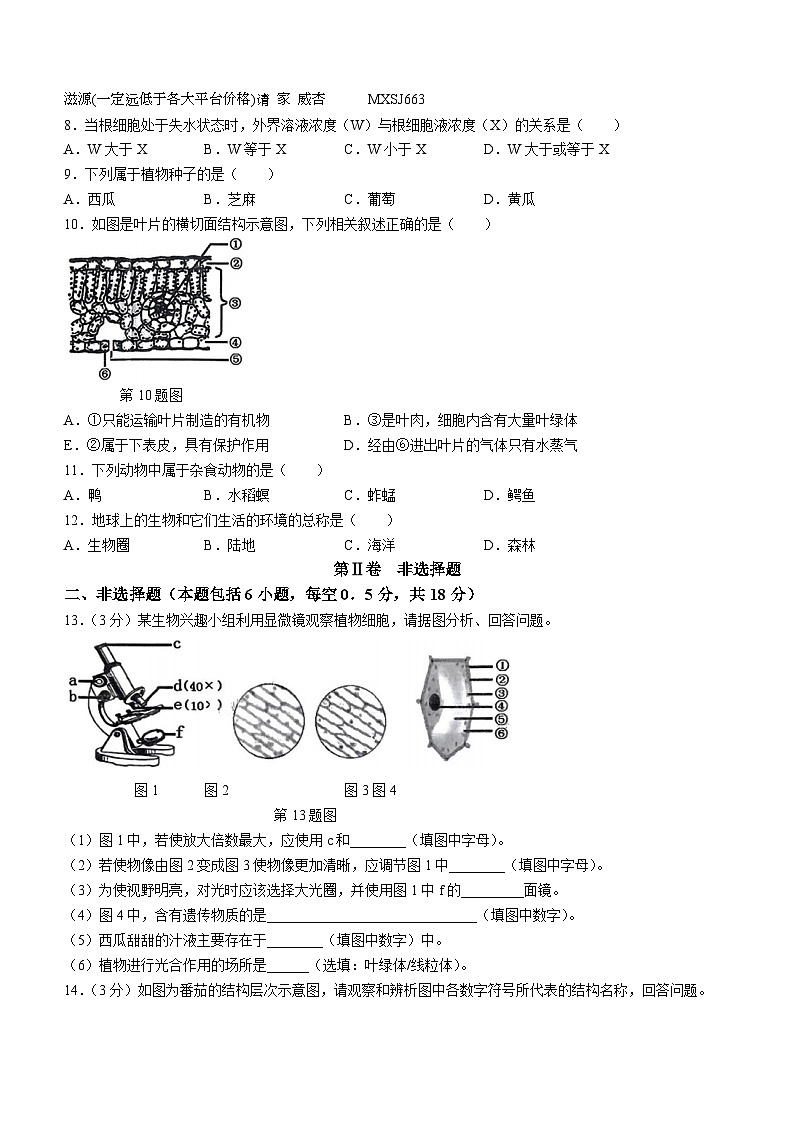 辽宁省沈阳市大东区2023-2024学年七年级上学期期末生物试卷02