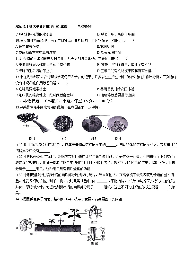 辽宁省沈阳市沈河区2023-2024学年七年级上学期期末生物试卷(无答案)第2页