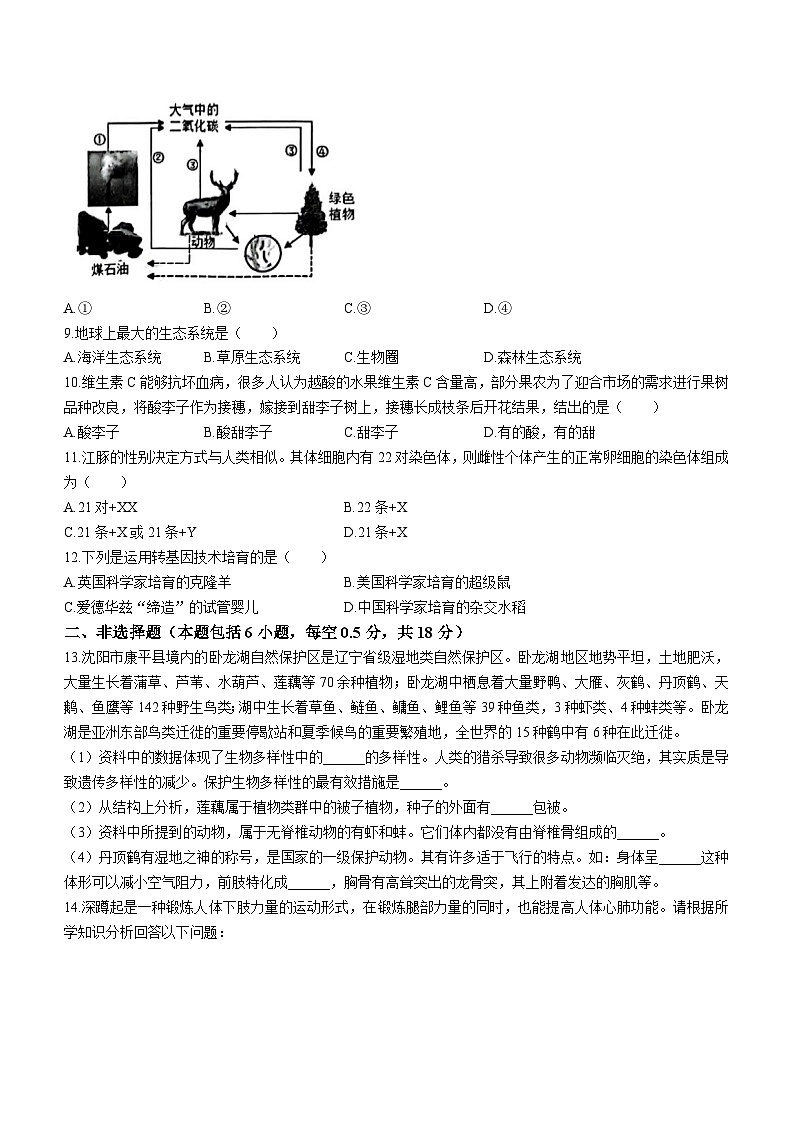 辽宁省沈阳市铁西区2023-2024学年八年级上学期期末考试生物试卷(无答案)第2页