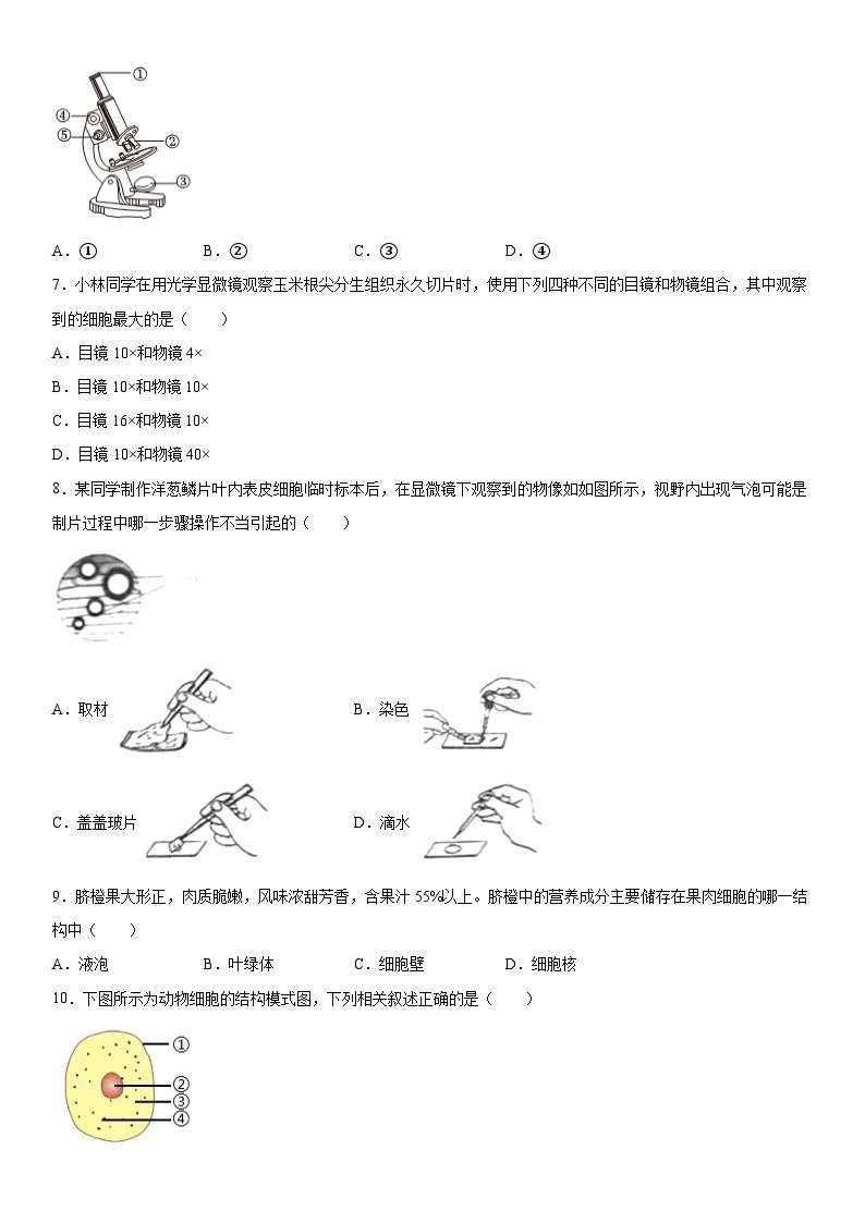 陕西省商洛市商南县金丝峡镇初级中学2023-2024学年七年级上册12月期末生物试题（含解析）02