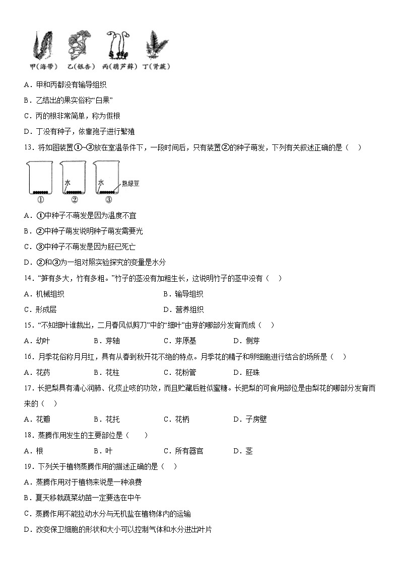 青海省果洛州久治县2023-2024学年七年级上册期末考试生物试题(含解析)第3页