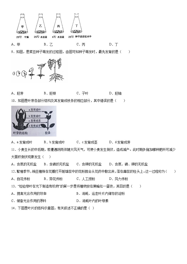 辽宁省丹东市凤城市2023-2024学年七年级上册期末考试生物试题(含解析)第2页