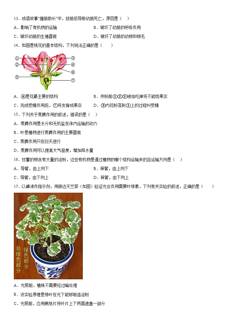 吉林省长春市榆树市第二实验中学2023-2024学年七年级上册12月期末生物试题(含解析)第3页