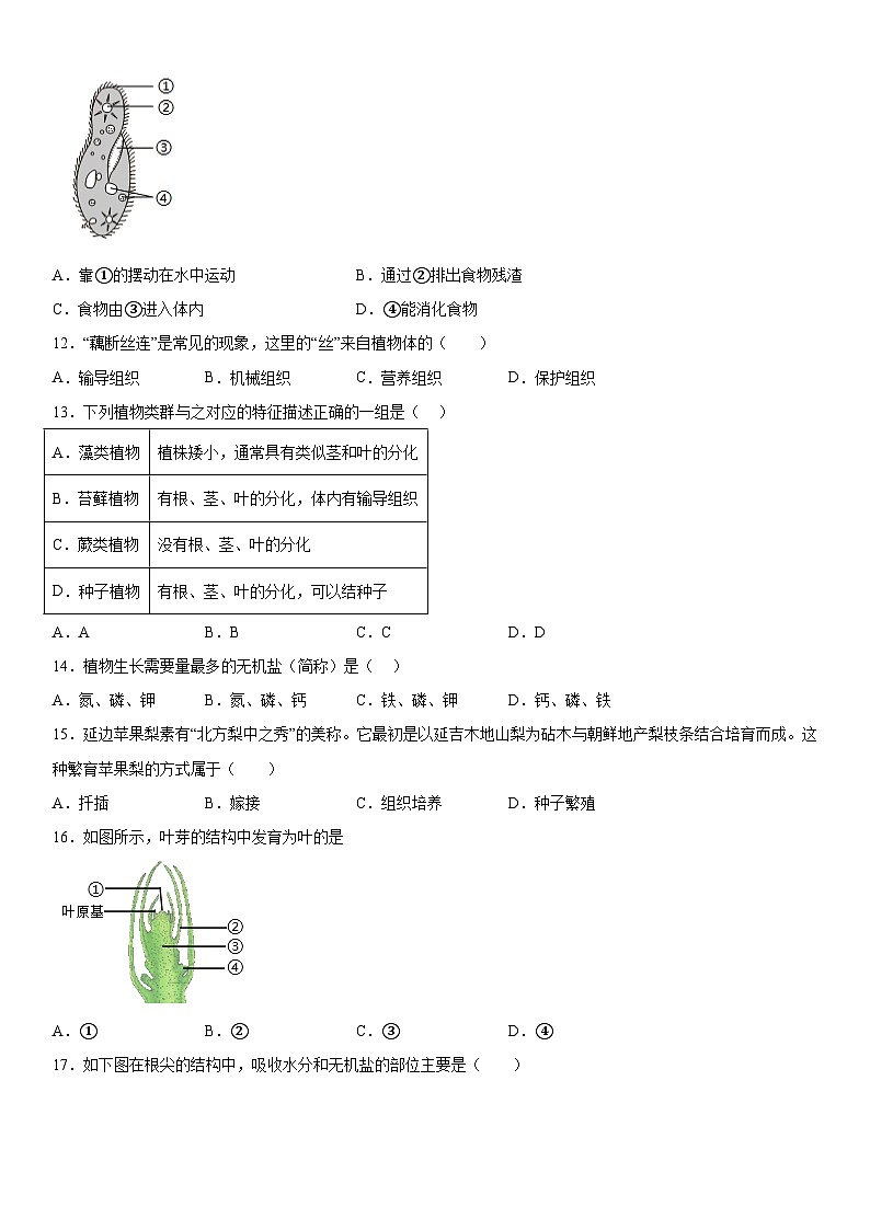 吉林省长春市宽城区2023-2024学年七年级上册期末考试生物试题(含解析)第3页