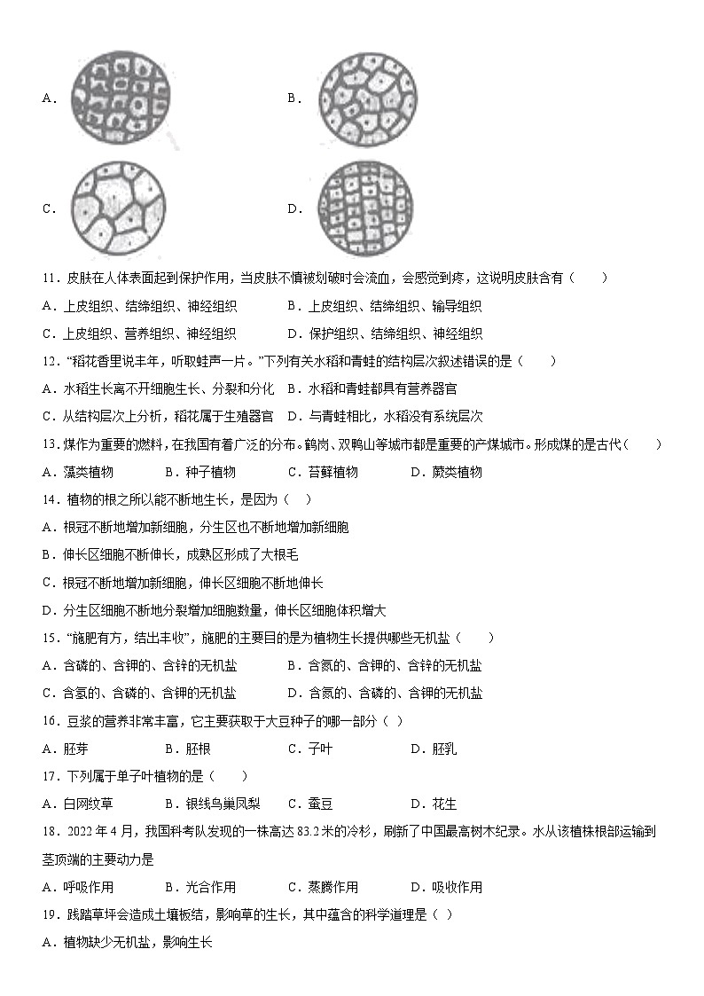 黑龙江省齐齐哈尔市讷河市2023-2024学年七年级上册期末教学质量测查生物试卷(含解析)第2页