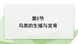 21.5 鸟类的生殖与发育 课件初中生物苏教版八年级下册