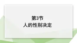 22.3 人的性别决定 课件初中生物苏教版八年级下册