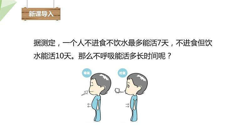 4.3.1 呼吸道对空气的处理 课件2023-2024学年初中生物人教版七年级下册第2页
