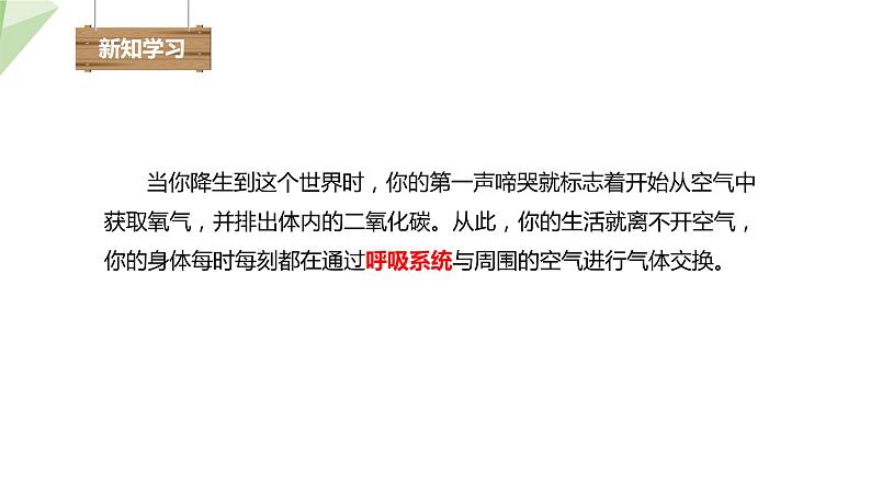 4.3.1 呼吸道对空气的处理 课件2023-2024学年初中生物人教版七年级下册第4页