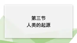 6.3.3 人类的起源 课件初中生物冀少版八年级下册