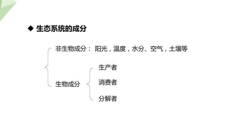 7.2.1 生态系统的组成和类型 课件初中生物冀少版八年级下册08