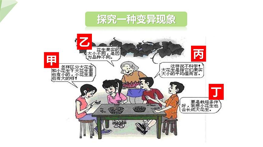 7.2.5 生物的變異 課件2023-2024學(xué)年初中生物人教版八年級下冊第5頁