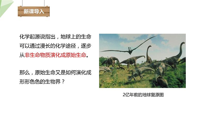7.3.2 生物进化的历程 课件 初中生物人教版八年级下册02