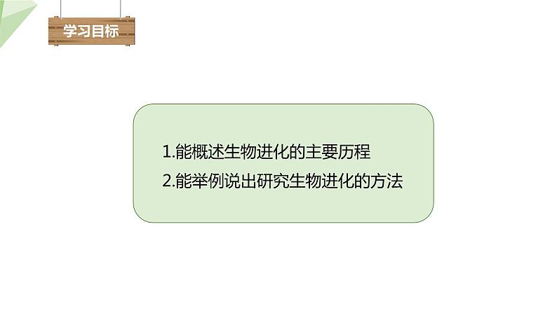 7.3.2 生物进化的历程 课件 初中生物人教版八年级下册03