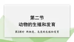 6.1.2 第2课时 两栖类、鸟类的生殖和发育 课件初中生物冀少版八年级下册