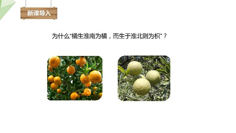 7.1.1 第1课时 非生物因素对生物的影响 课件初中生物冀少版八年级下册第2页