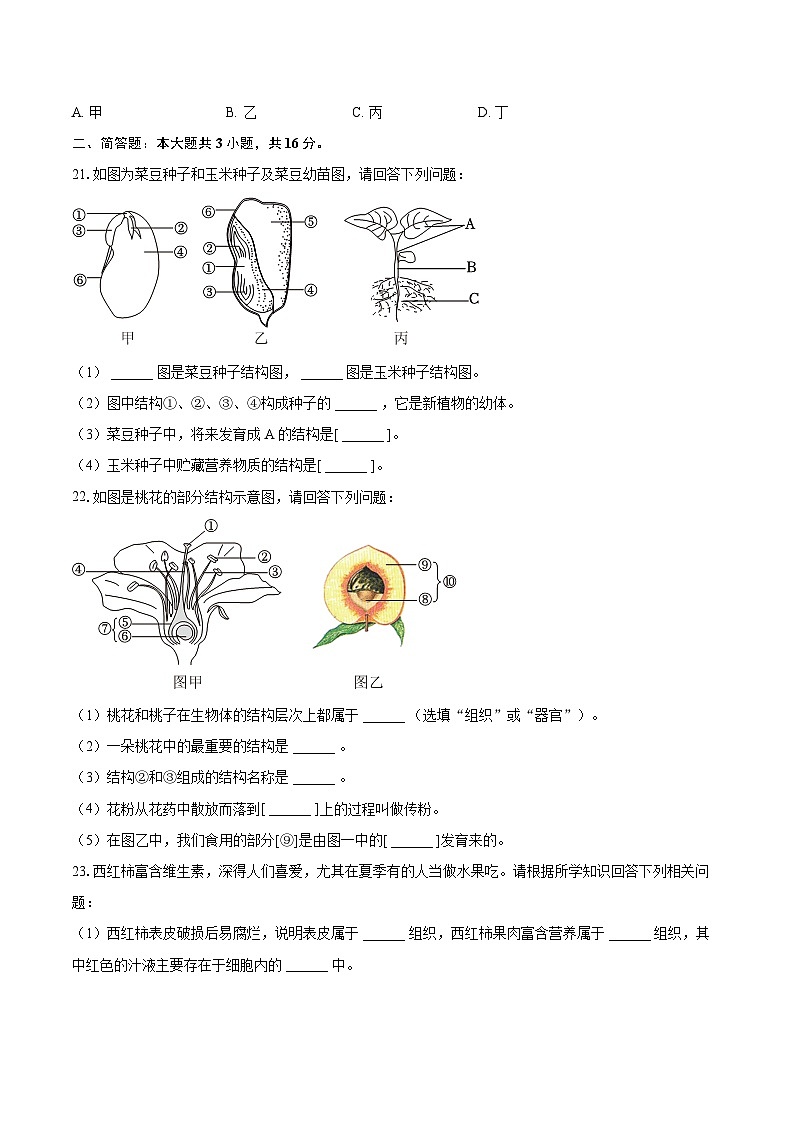 2023-2024学年吉林省吉林市永吉县七年级(上)期末生物试卷(含解析)第3页