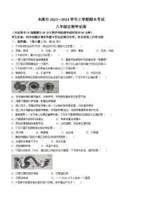 辽宁省本溪市2023-2024学年八年级上学期期末生物试题