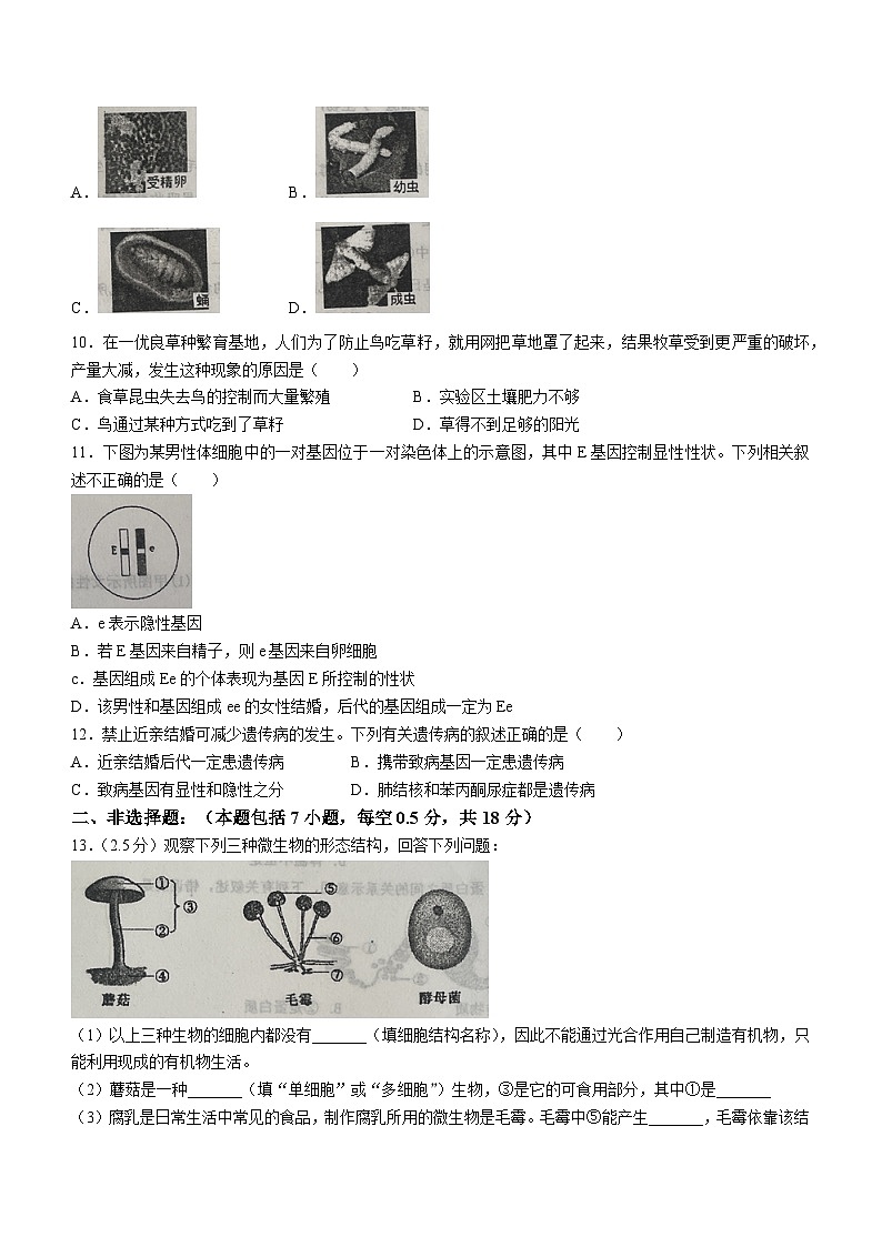 辽宁省本溪市2023-2024学年八年级上学期期末生物试题第2页