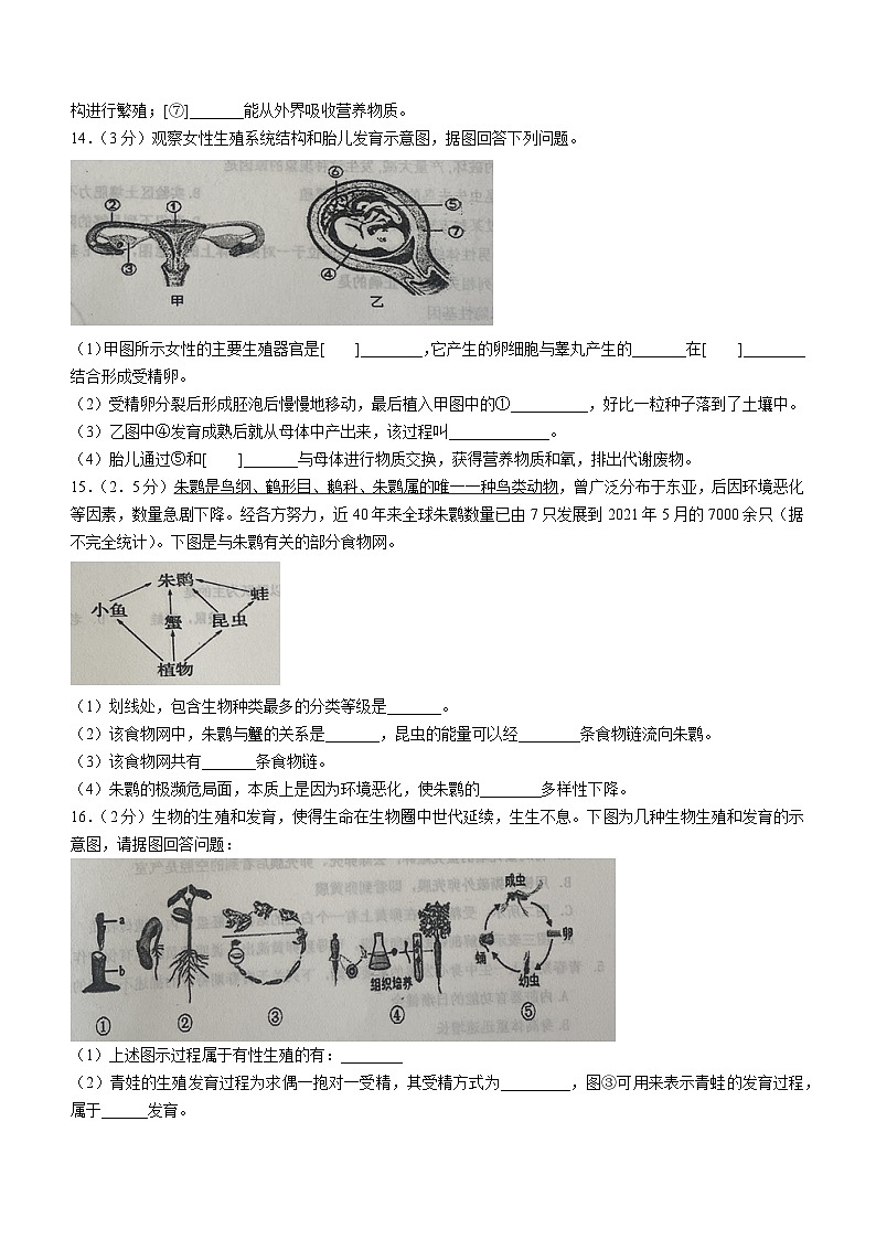辽宁省本溪市2023-2024学年八年级上学期期末生物试题第3页