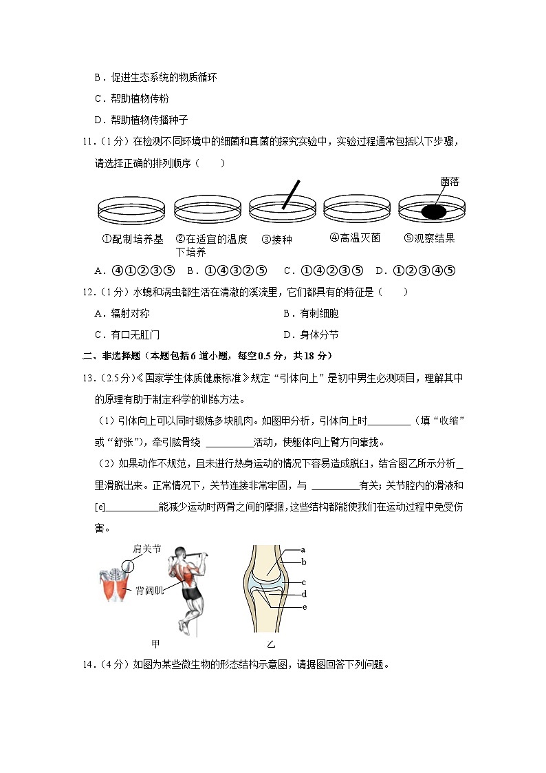 辽宁省铁岭市铁岭县2023-2024学年八年级上学期期末生物试卷03