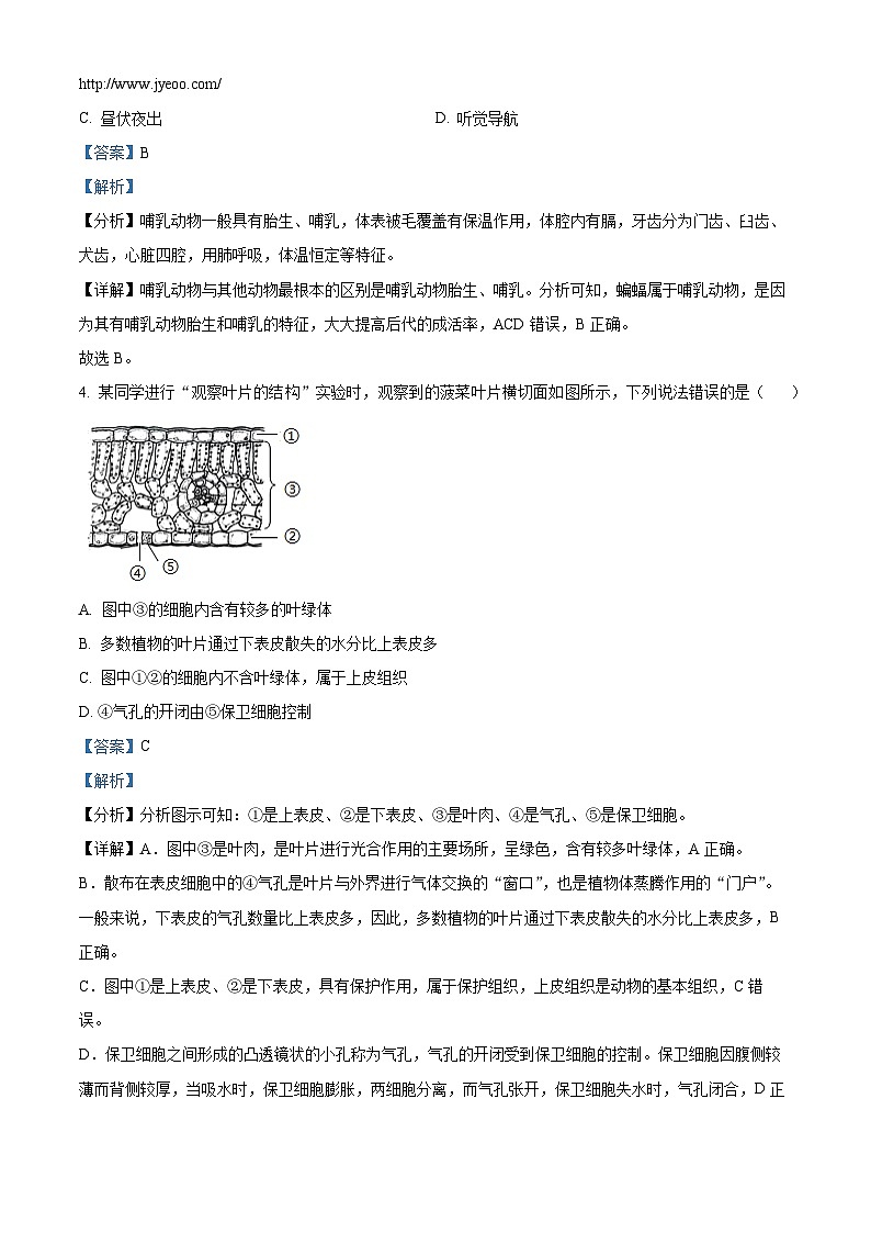 山东省滕州市鲍沟中学2023-2024学年七年级上学期期末模拟生物试题02