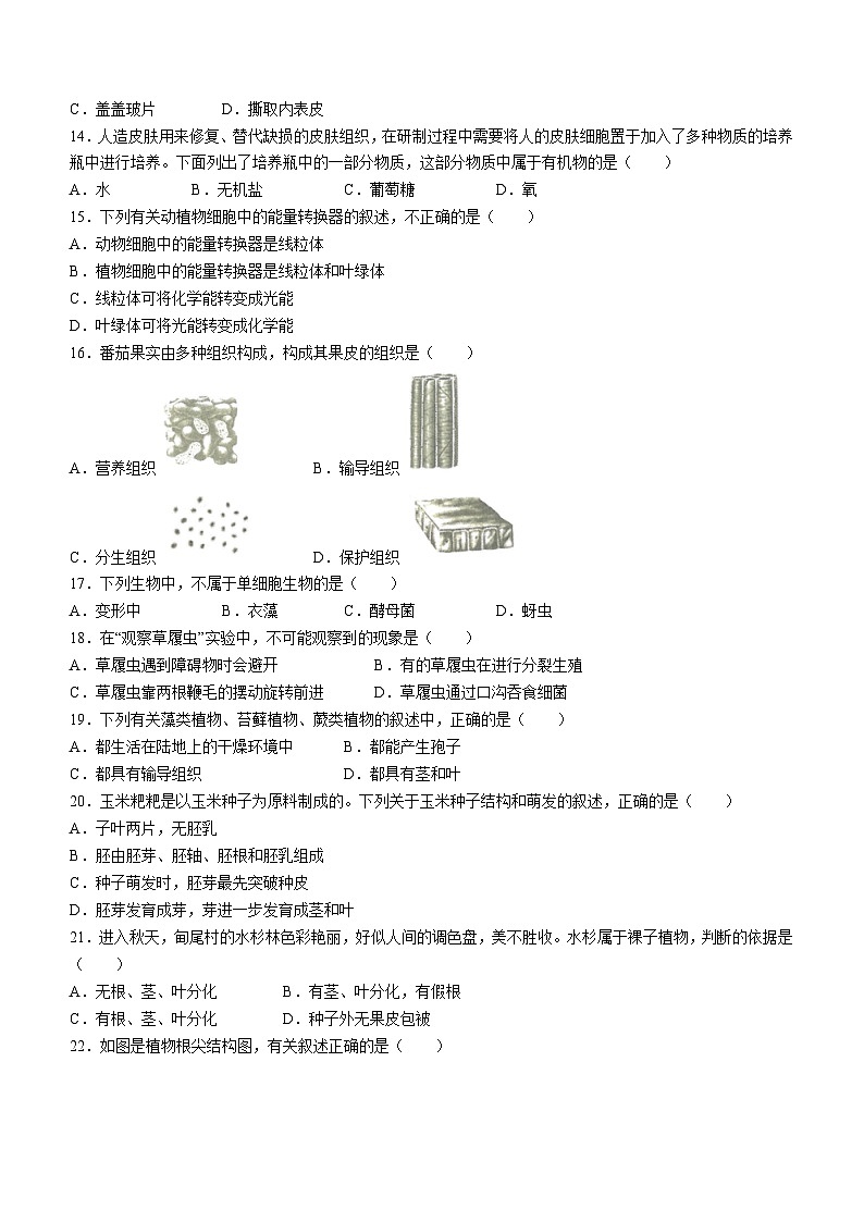 云南省昆明市盘龙区2023-2024学年七年级上学期期末考试生物试题(无答案)第3页