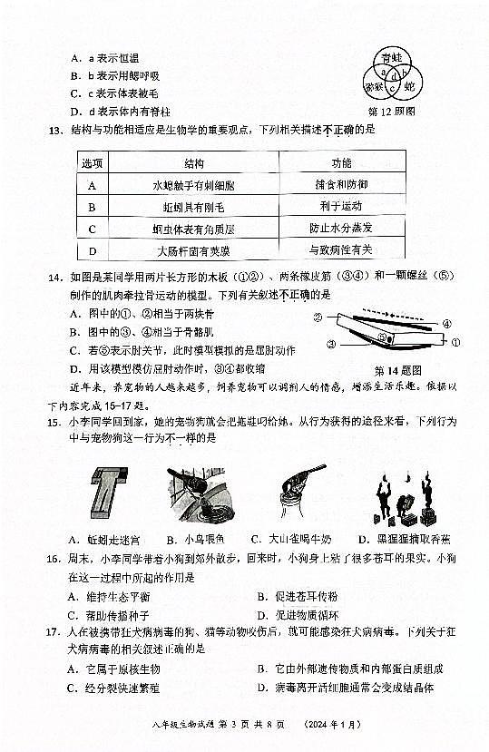 广东省深圳市龙岗区2023-2024学年八年级上学期期末生物学试题03