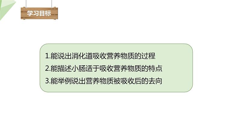 2.1.3 营养物质的吸收和利用 课件初中生物冀少版七年级下册03