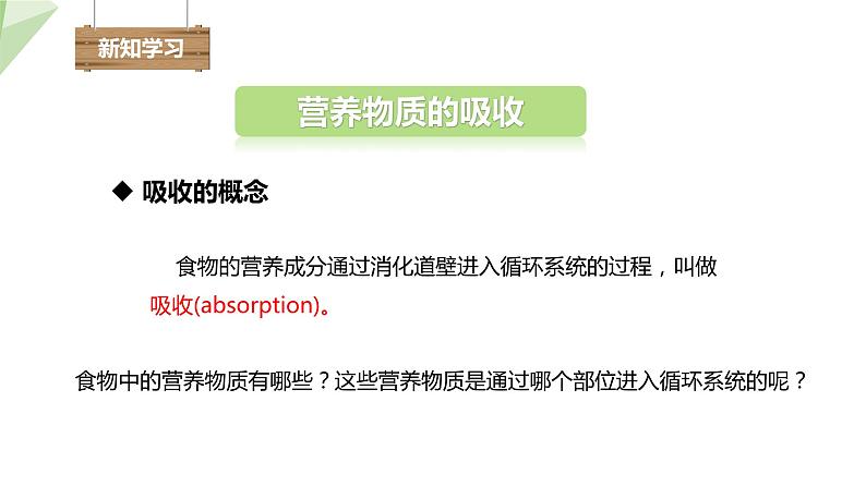 2.1.3 营养物质的吸收和利用 课件初中生物冀少版七年级下册04