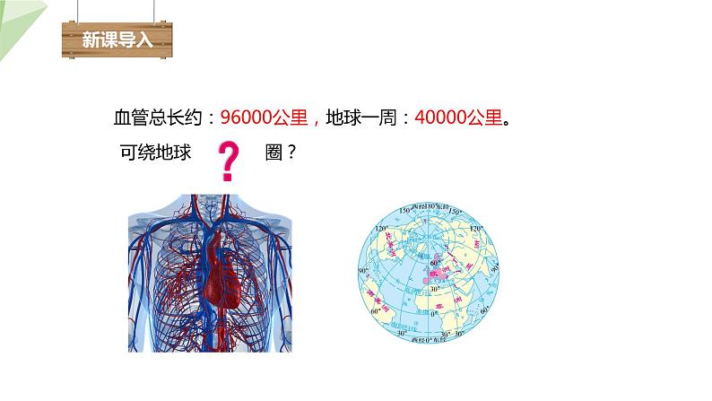 2.2.2 第1课时 血管 课件初中生物冀少版七年级下册第2页