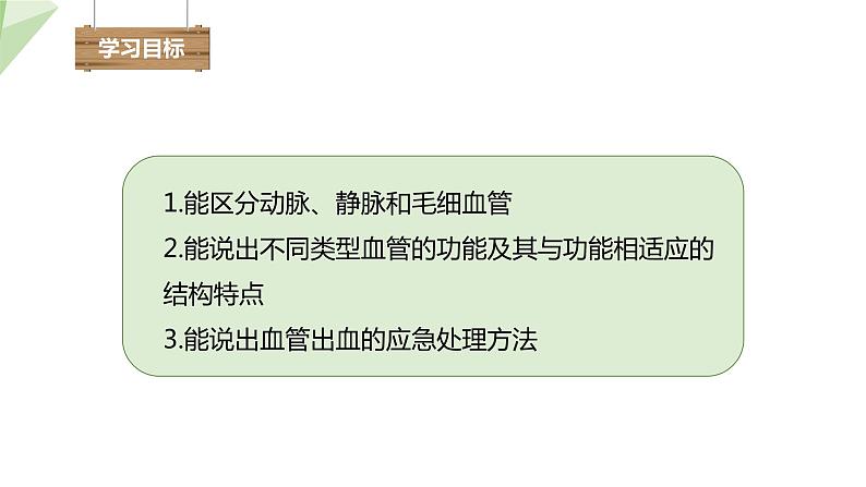2.2.2 第1课时 血管 课件初中生物冀少版七年级下册第3页