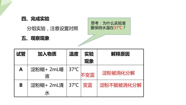 2.1.2 食物的消化  课件初中生物冀少版七年级下册08