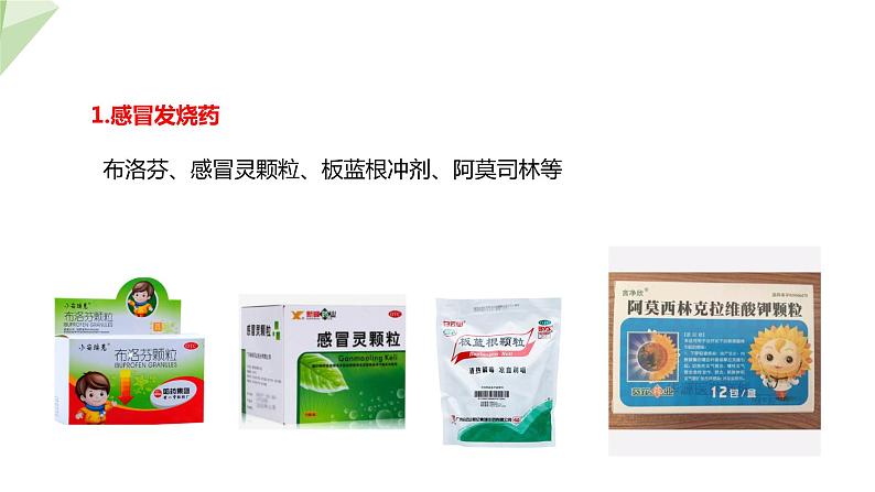 2.7.2 安全用药 课件 初中生物冀少版七年级下册08
