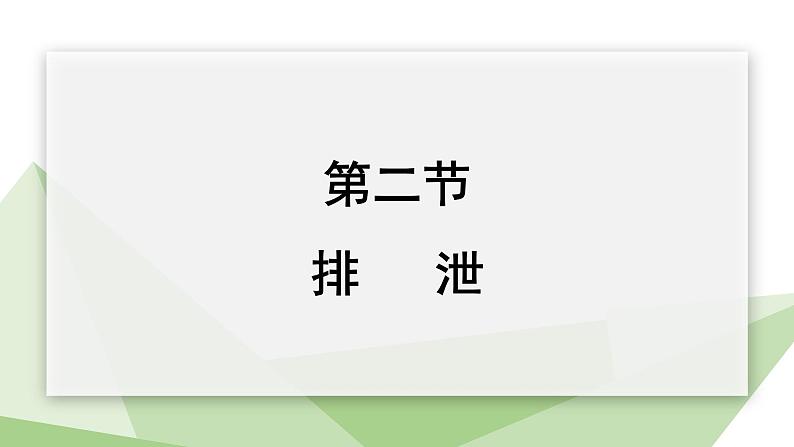 2.3.2 排泄 课件初中生物冀少版七年级下册第1页