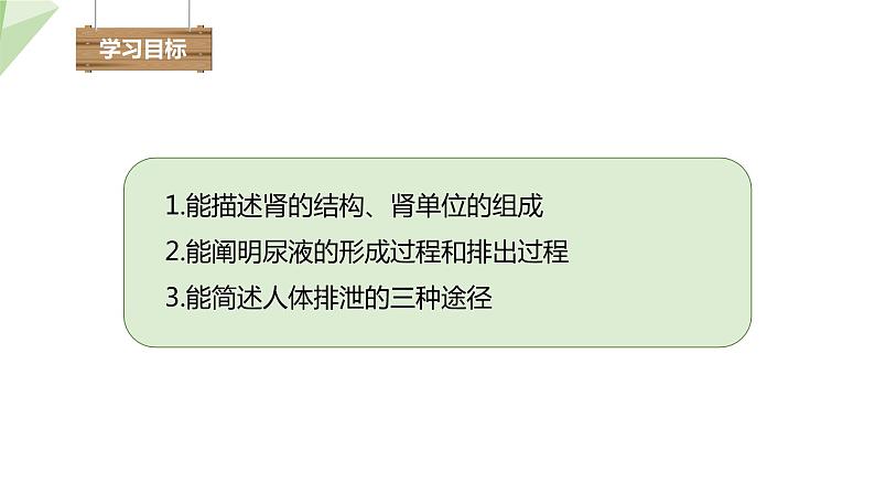 2.3.2 排泄 课件初中生物冀少版七年级下册第3页