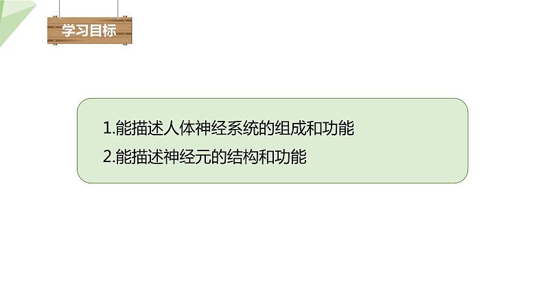 2.4.2 信息的传递 课件 初中生物冀少版七年级下册03