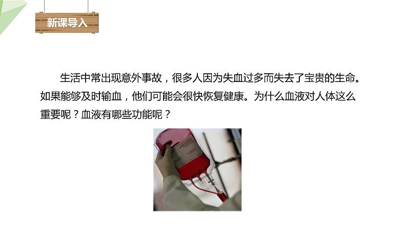 2.2.1 物质运输的载体 课件 初中生物冀少版七年级下册第2页