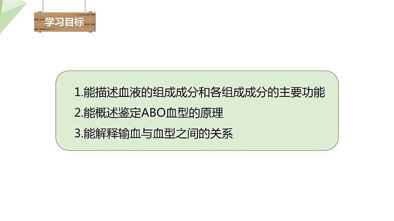 2.2.1 物质运输的载体 课件 初中生物冀少版七年级下册第3页
