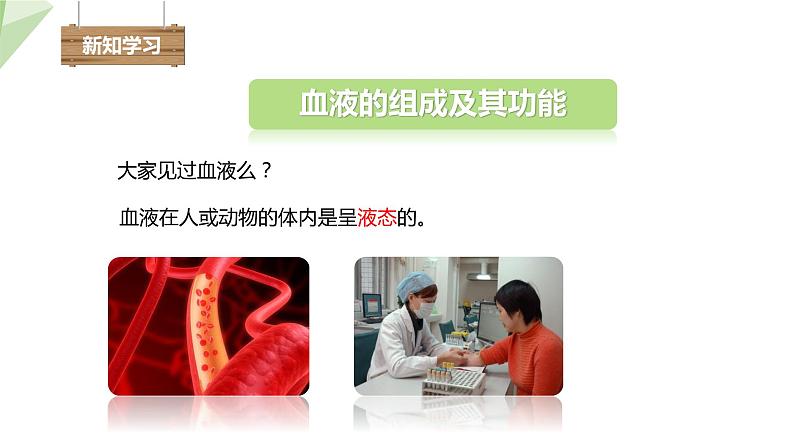2.2.1 物质运输的载体 课件 初中生物冀少版七年级下册第4页