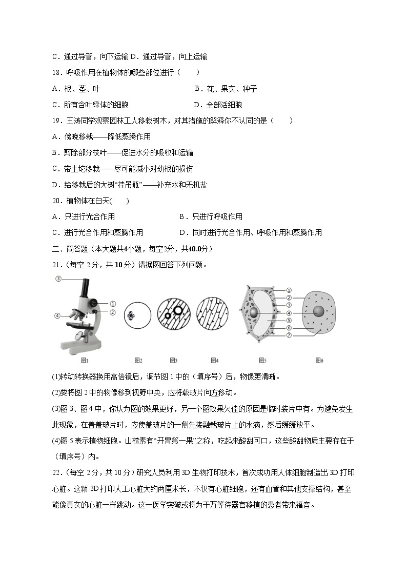 2023-2024学年安徽省淮南市凤台县七年级上册12月月考生物试题（附答案）03