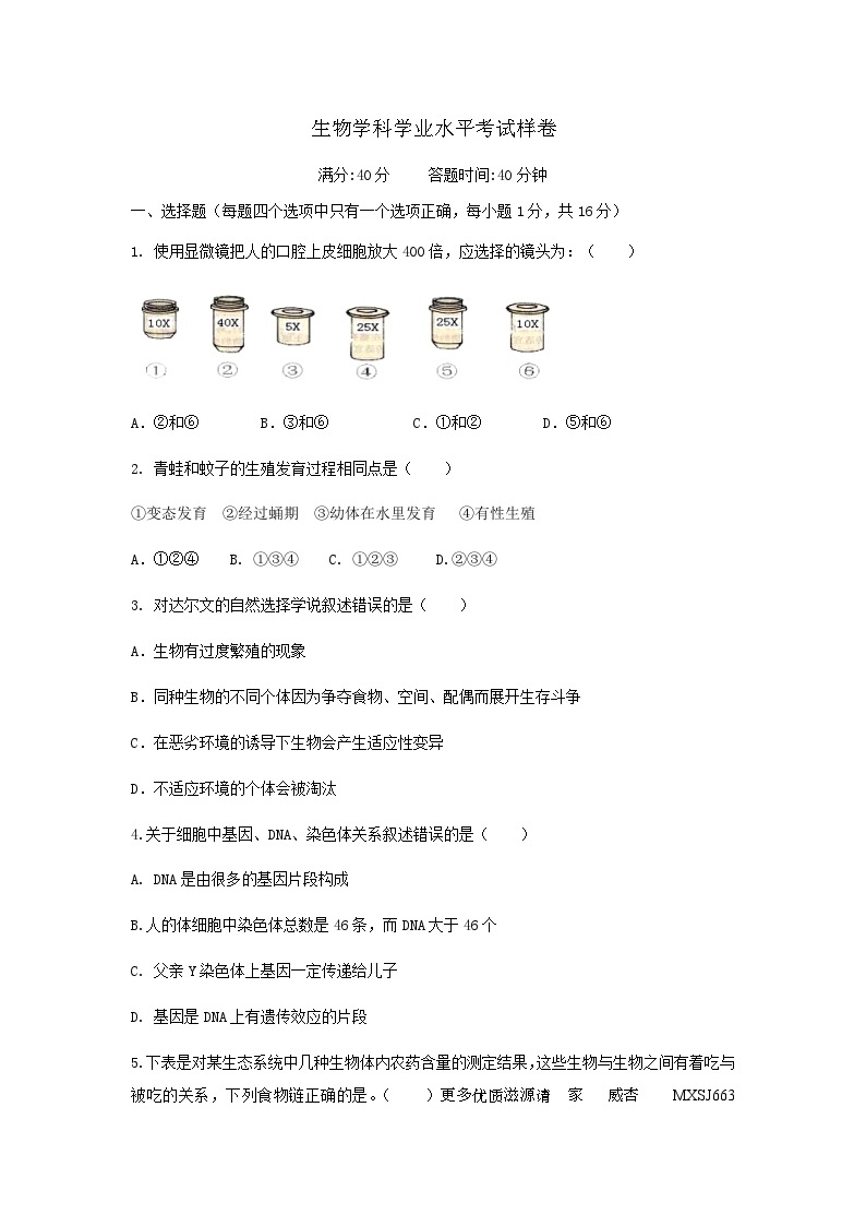 2023年辽宁省丹东市东港市初中学业水平考试二模生物试卷01