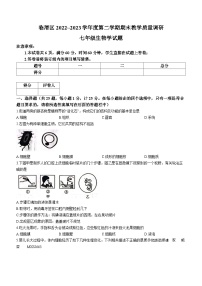 陕西省渭南市临渭区2022-2023学年七年级下学期期末生物试题