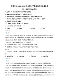 新疆克拉玛依市白碱滩区2022-2023学年七年级下学期期末生物试题（解析版）