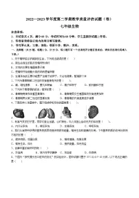 陕西省汉中市西乡县2022-2023学年七年级下学期期末生物试题
