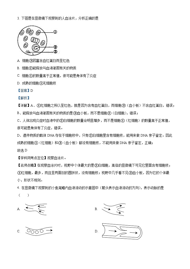 广西河池市环江县2022-2023学年七年级下学期期末生物试题(解析版)第2页