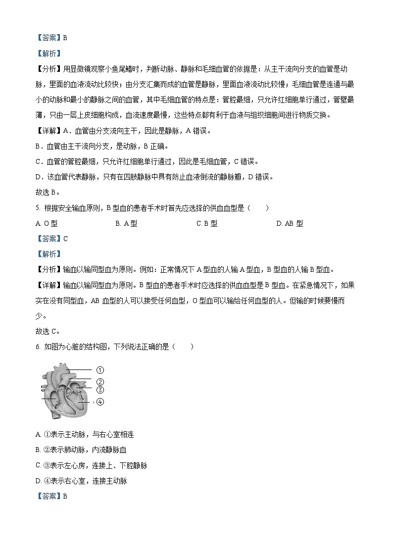 广西河池市环江县2022-2023学年七年级下学期期末生物试题(解析版)第3页