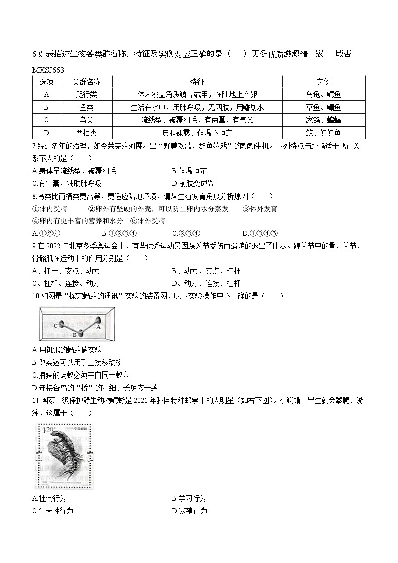 山东省济南市莱芜区2022-2023学年八年级下学期开学考试生物试题(无答案)02